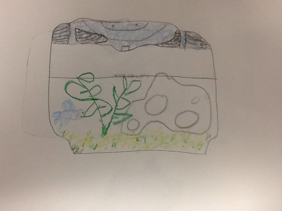 960x720 My Choice Drawing - Choice Drawing