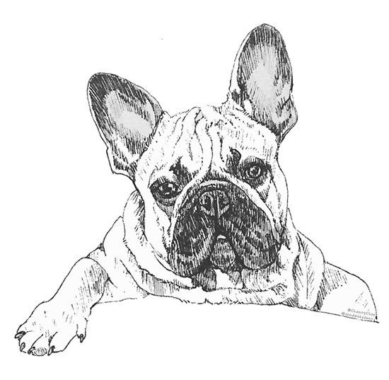 550x537 chop drawing - Chop Drawing