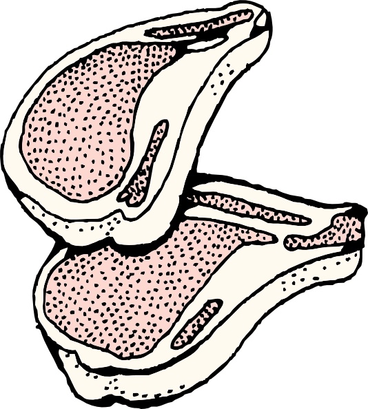 534x594 pork chops clip art free vector in open office drawing - Chop Drawing