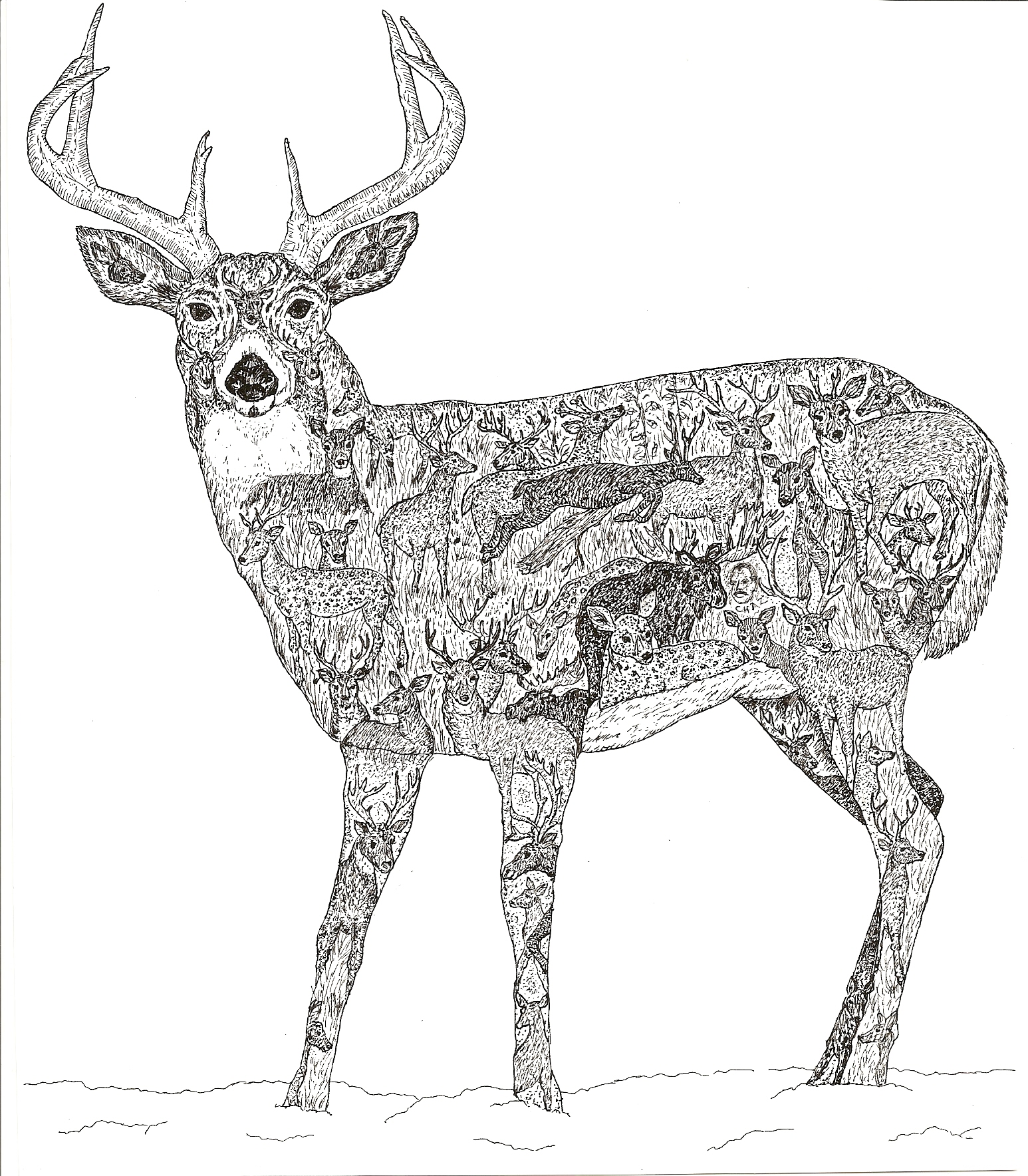 1546x1768 Drawings - Christmas Animals Drawings