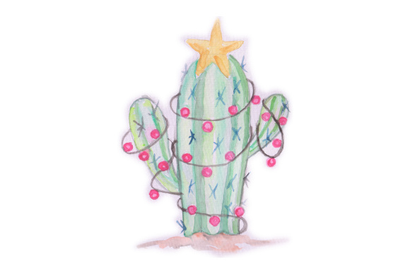 580x386 Christmas Cactus - Christmas Cactus Drawing