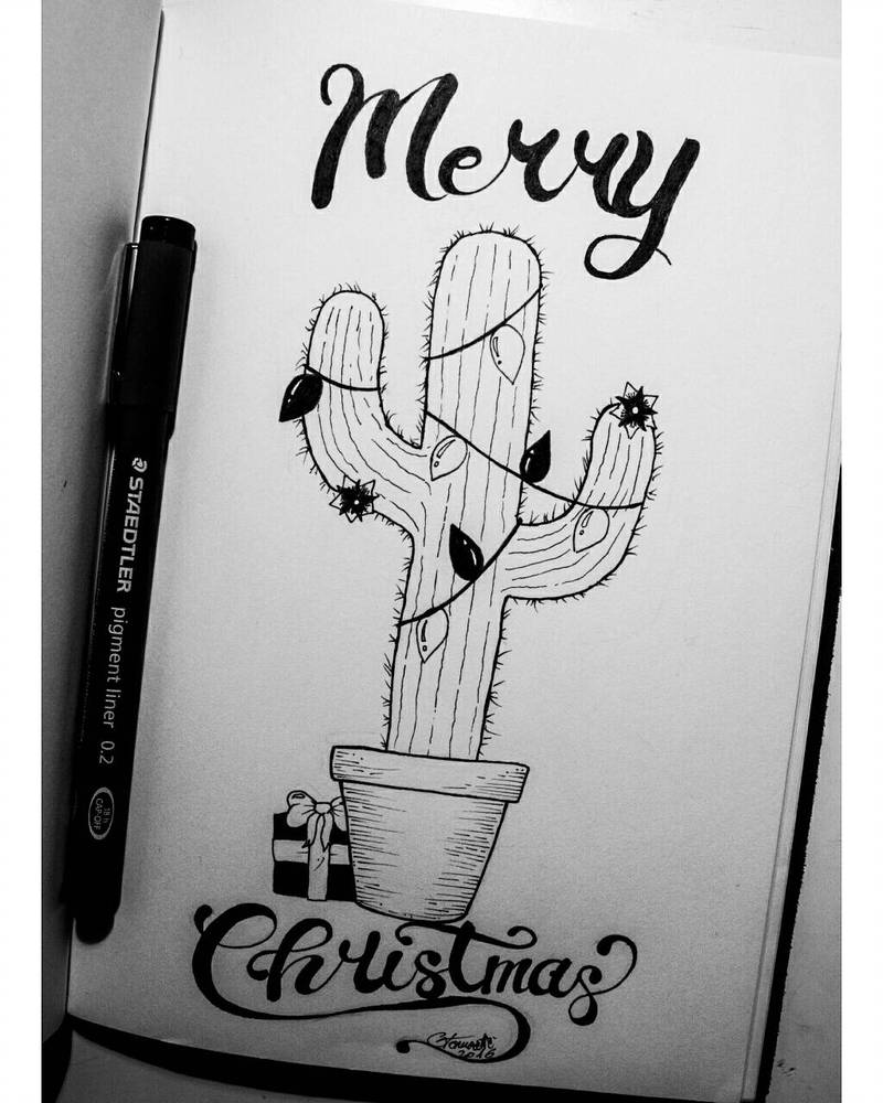 800x1000 Christmas Cactus - Christmas Cactus Drawing