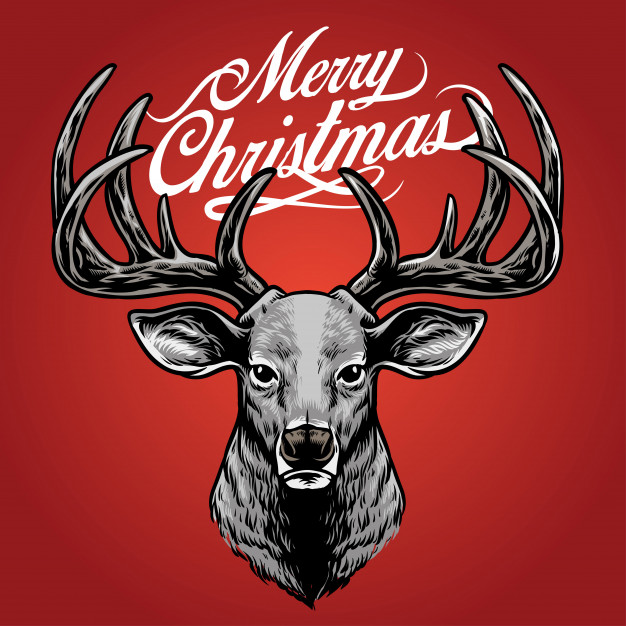 Christmas Deer Drawing at PaintingValley.com | Explore collection of ...