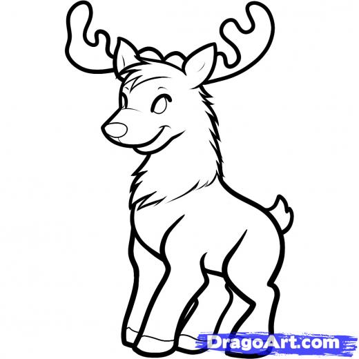 520x520 Step How To Draw A Christmas Deer, Reindeer - Christmas Deer Drawing