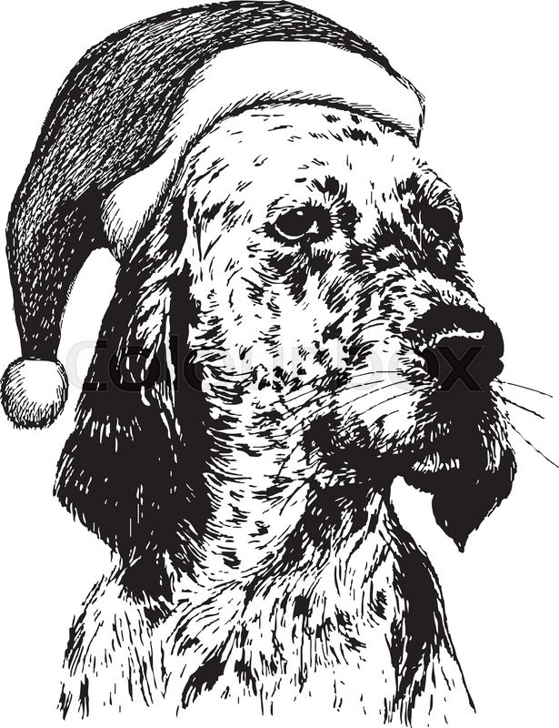 Christmas Dog Drawing at PaintingValley.com | Explore collection of