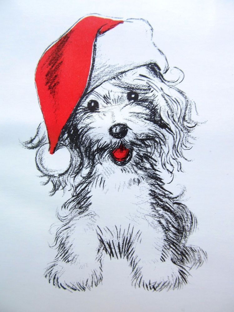 Christmas Dog Drawing at Explore collection of