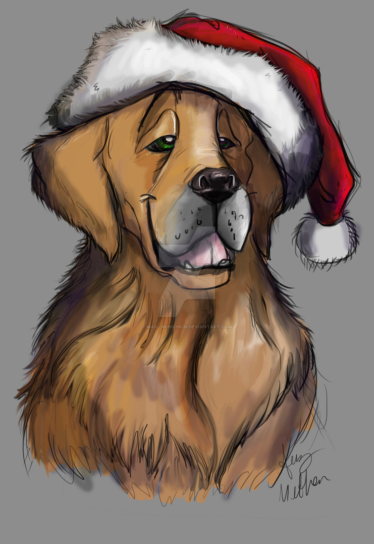 Christmas Dog Drawing at Explore collection of