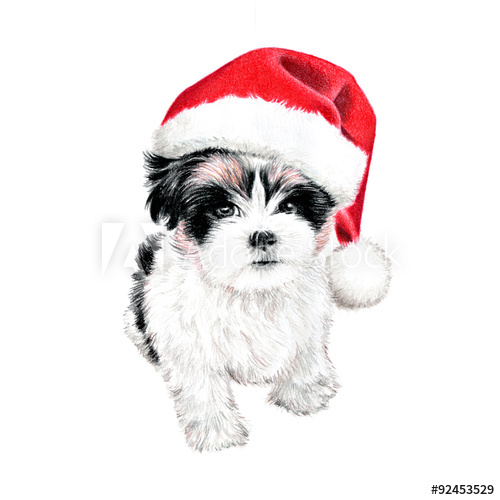 500x500 Hand Drawn Puppy Dog With Santa Claus Hat, Cute Fun Christmas Card - Christmas Dog Drawing