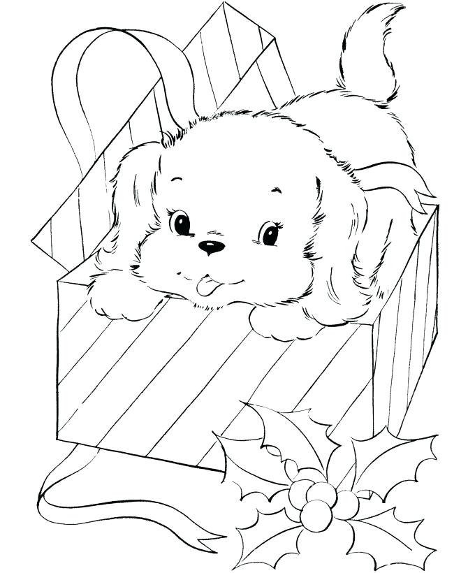 Christmas Dog Drawing at Explore collection of