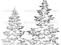 200x150 Drawing Of A Christmas Tree Elegant Pine Tree Drawings Black - Christmas Drawings Black And White