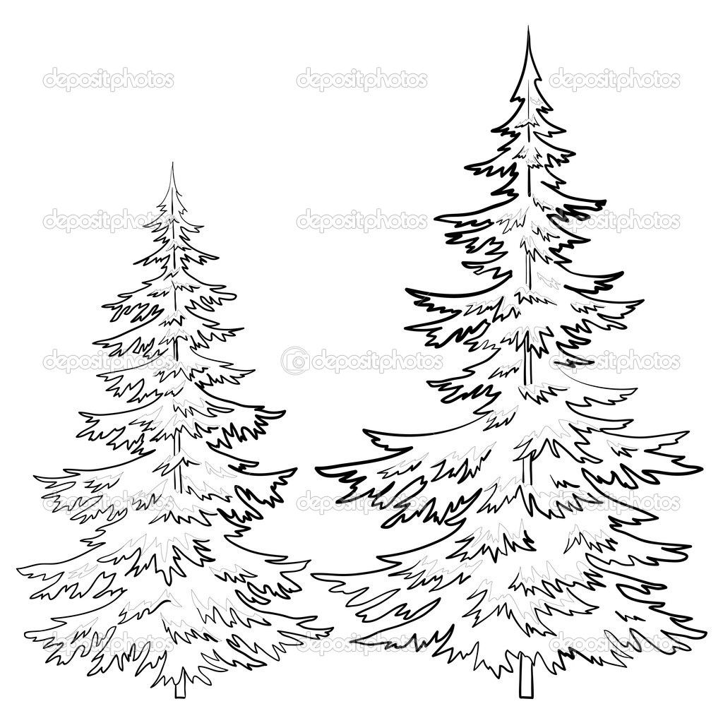 1024x1024 Pine Tree Drawings Black And White Stencils Fur Tree - Christmas Drawings Black And White