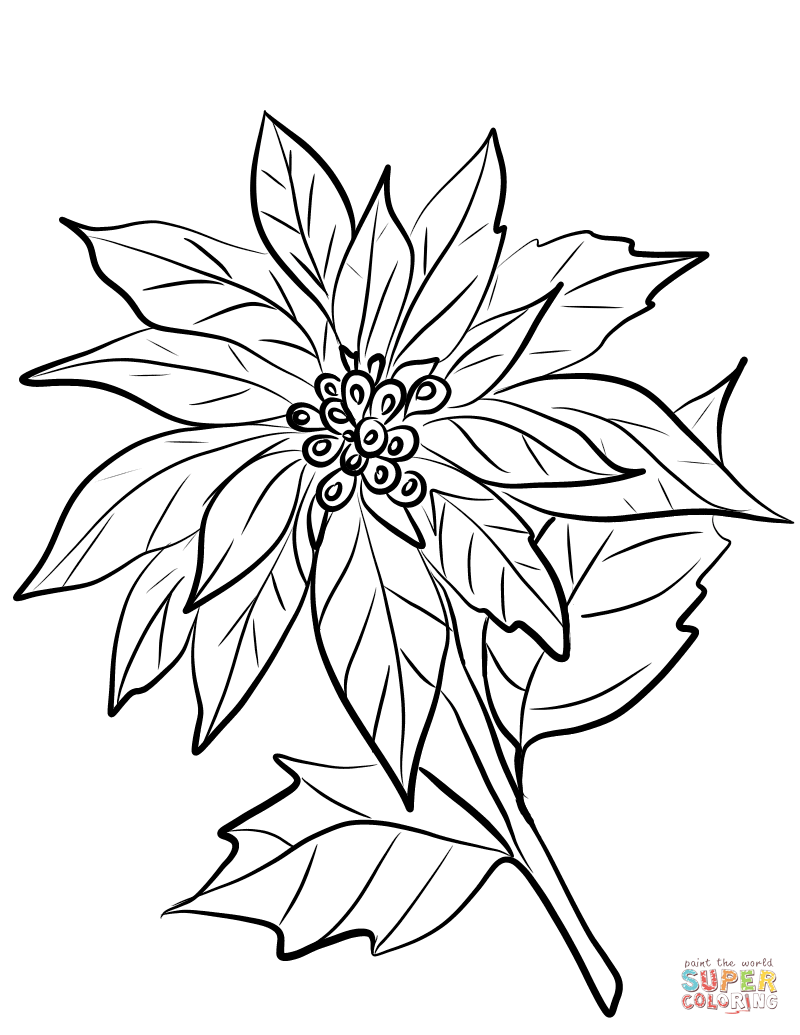 800x1035 Coloring Pages Christmas Flower Bouquet With Greeting Cardring - Christmas Flower Drawing