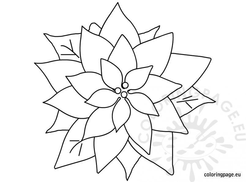 804x595 decorations for christmas coloring page - Christmas Flower Drawing