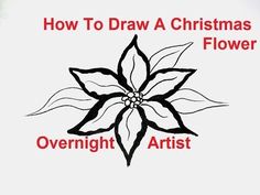 236x177 best drawing flowers images in bullet journals, bullet - Christmas Flower Drawing