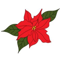 236x236 Best Poinsettia Images Poinsettia, Xmas, Christmas - Christmas Flower Drawing