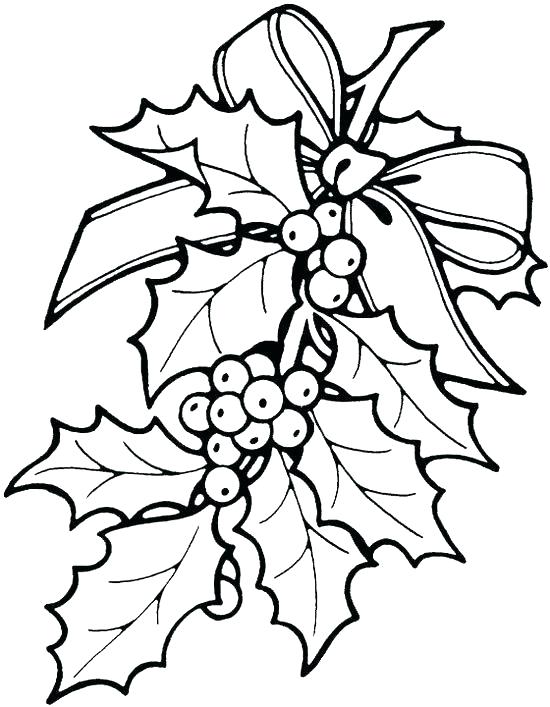 550x707 Christmas Flower Coloring Pages - Christmas Flower Drawing
