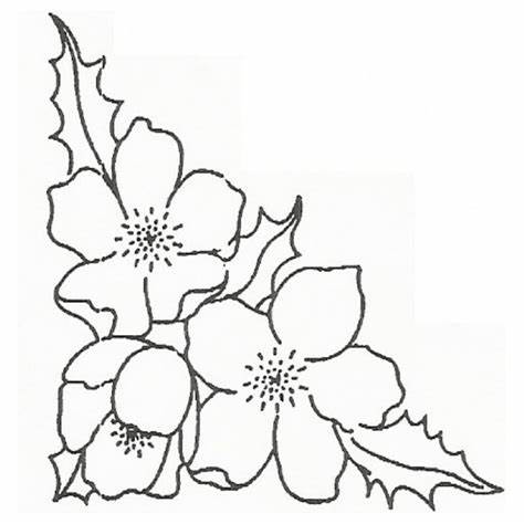 474x474 Christmas Rose Flower Drawing Gtgt - Christmas Flowers Drawing