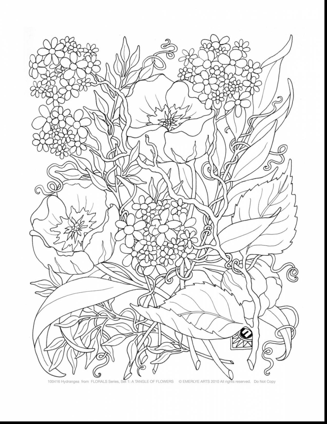 1274x1650 Coloring Inspirations Christmas Flower Coloring Pages Adults - Christmas Flowers Drawing