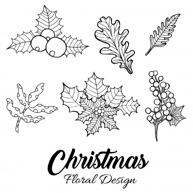 626x626 Hand Drawn Christmas Floral Designs Vector Free Download - Christmas Flowers Drawing
