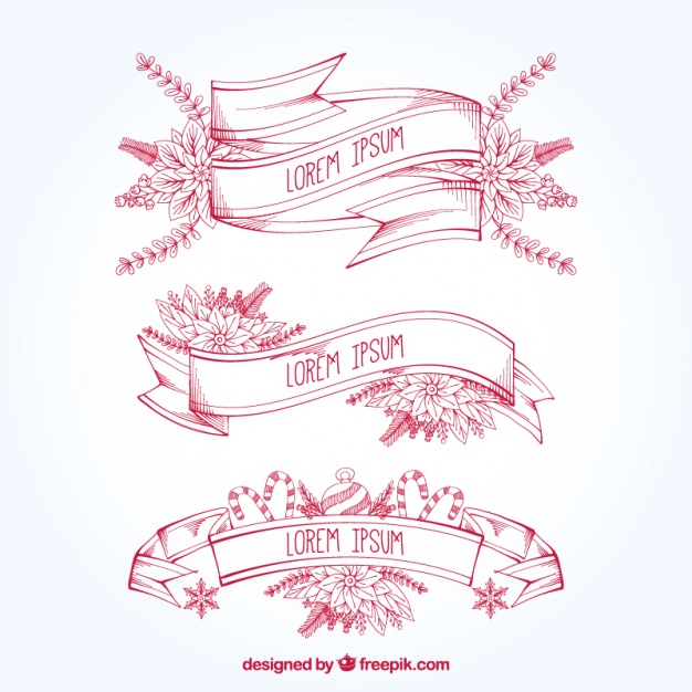 626x626 Hand Drawn Ribbons With Christmas Flowers Vector Free Download - Christmas Flowers Drawing