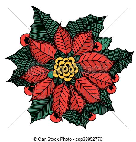 450x470 Red Christmas Flower Poinsettia With Isolated On White Background - Christmas Flowers Drawing