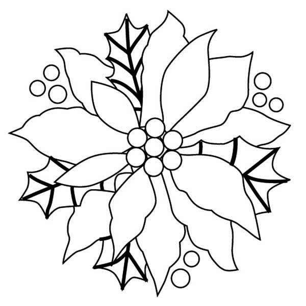 600x600 Christmas Flower Coloring Sheets Christmas Poinsettia Drawing - Christmas Flowers Drawing