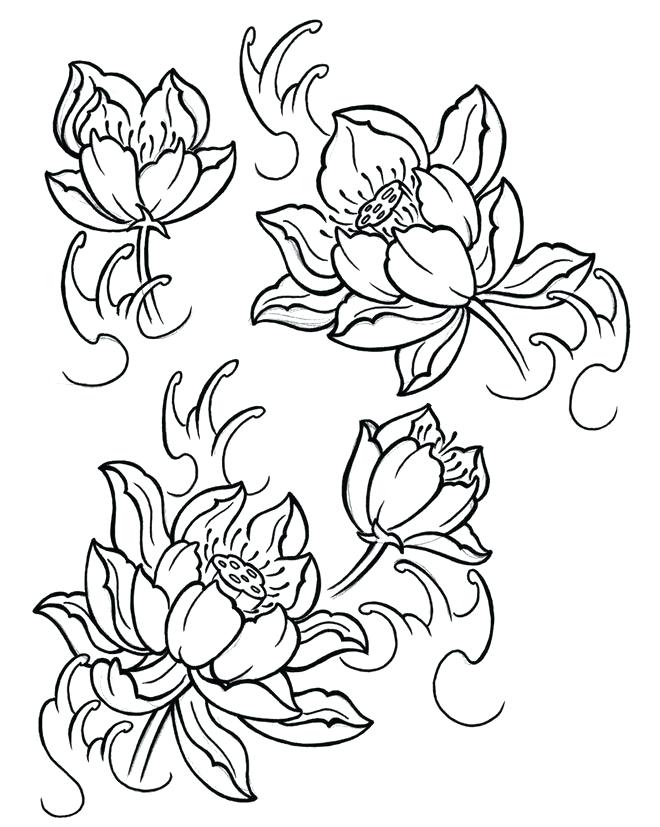 660x827 Beautiful Flower Drawings And Realistic Color Pencil Tiger Lily - Christmas Flowers Drawing