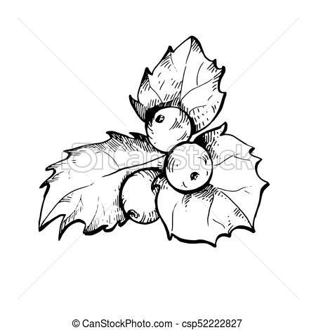 450x470 holly berry sketch illustration hand drawn vector illustrations - Christmas Holly Drawing
