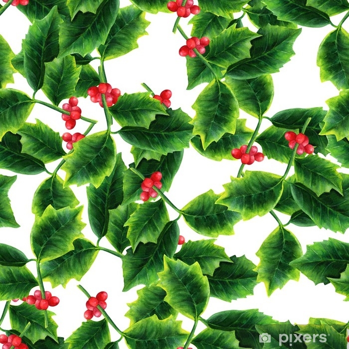 700x700 seamless pattern with watercolor drawing of christmas holly wall - Christmas Holly Drawing