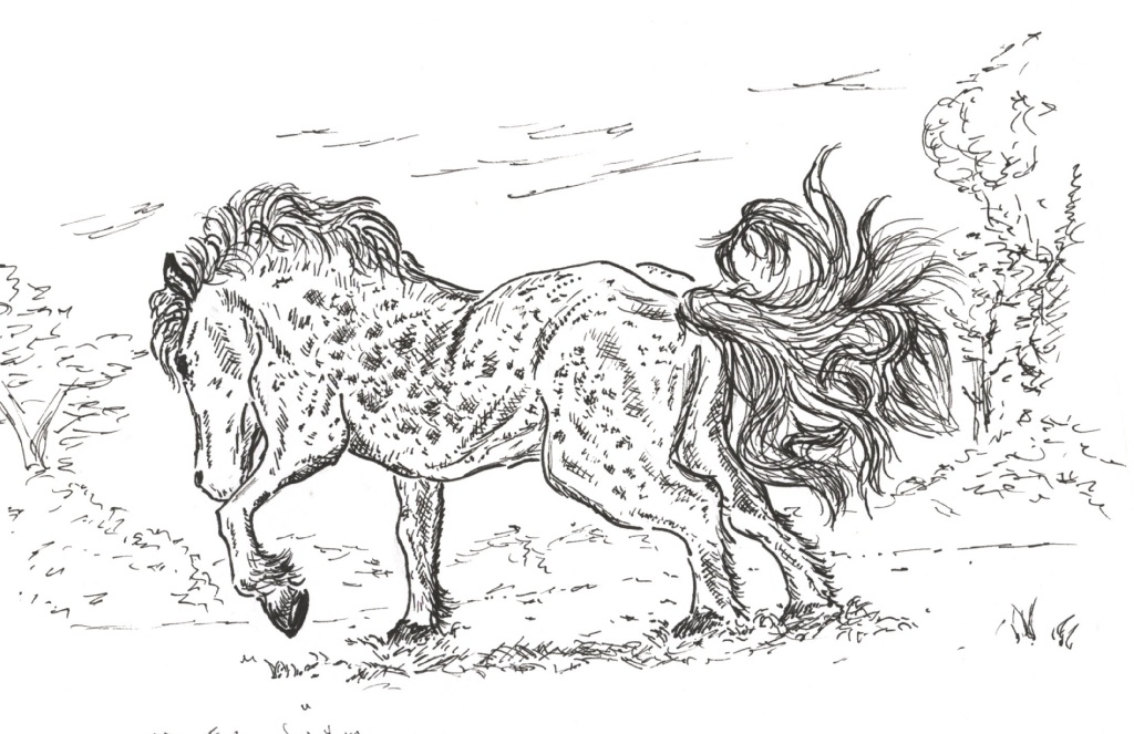 1024x663 Christmas Horse Drawings Festival Collections - Christmas Horse Drawing