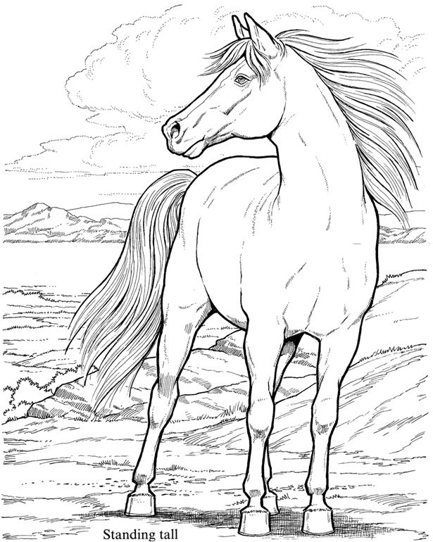 615x770 Huge Collection Of 'christmas Horse Drawing' Download More Than - Christmas Horse Drawing