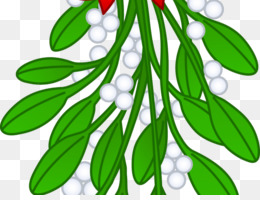260x200 christmas mistletoe leafy mistletoes - Christmas Mistletoe Drawing