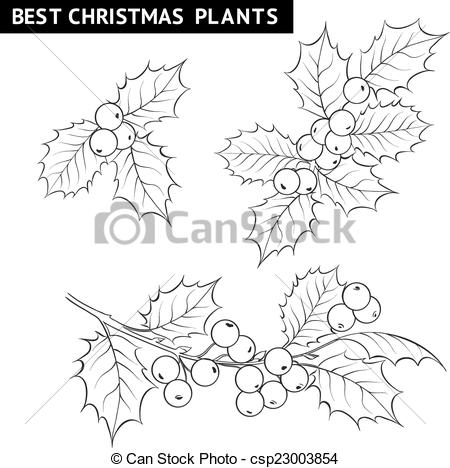 450x468 christmas mistletoe branch drawing christmas mistletoe branch - Christmas Mistletoe Drawing