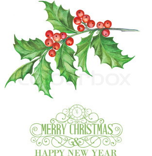 313x320 how to draw a mistletoe group with items - Christmas Mistletoe Drawing