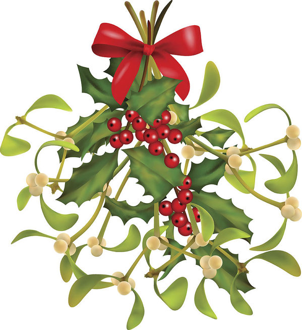 599x653 christmas mistletoe and holly bouquet art print - Christmas Mistletoe Drawing