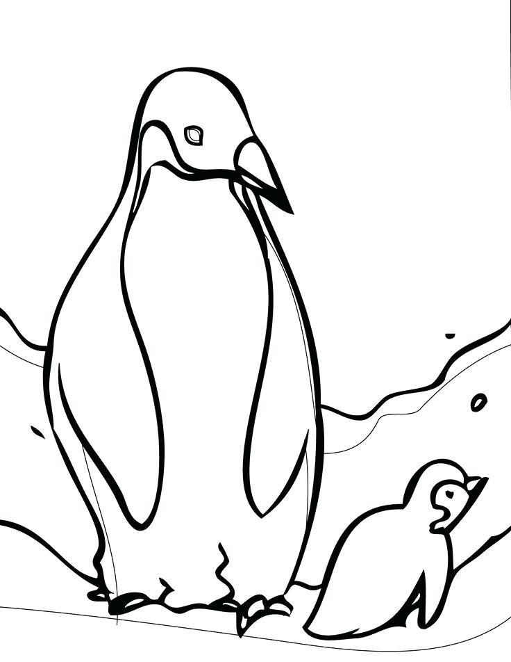 736x952 penguin coloring pages printable baby penguin drawing at com free - Christmas Penguin Drawing