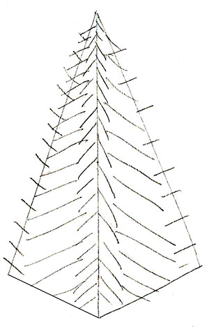 300x468 How To Draw A Christmas Tree - Christmas Pics Drawing
