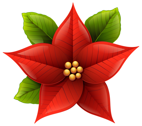 600x533 Collection Of Free Poinsettia Drawing December Download On Ui Ex - Christmas Poinsettia Drawing