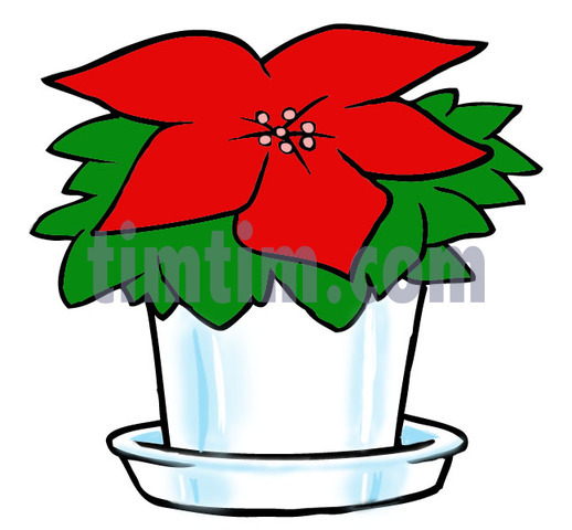 Christmas Poinsettia Drawing At Paintingvalley.com 