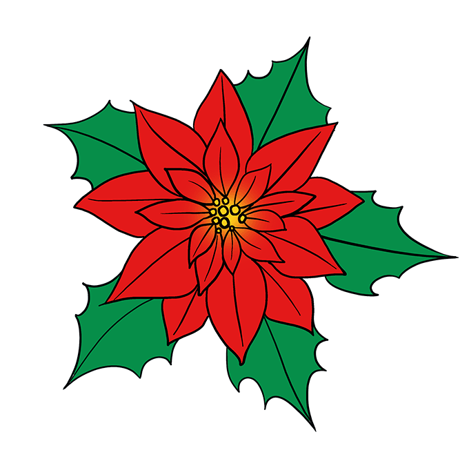 680x678 How To Draw A Poinsettia - Christmas Poinsettia Drawing