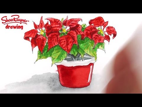 480x360 How To Draw A Poinsettia For A Christmas Card - Christmas Poinsettia Drawing