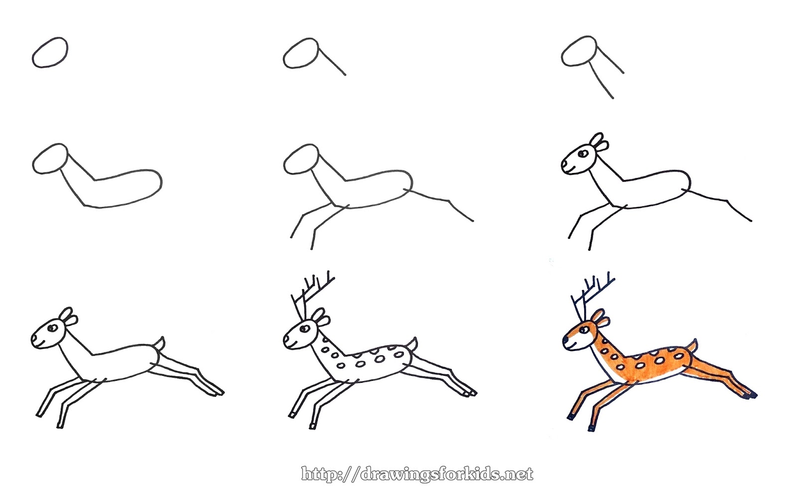 1600x997 Easy Step - Christmas Reindeer Drawing