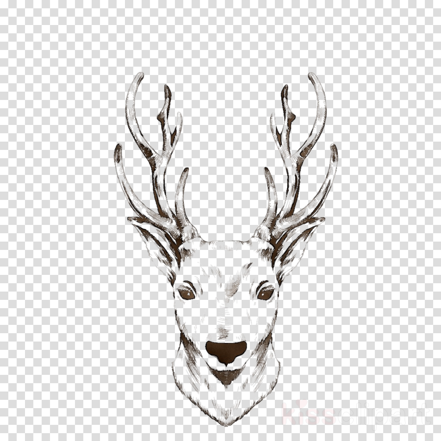 900x900 Reindeer, Drawing, Painting, Transparent Png Image Clipart Free - Christmas Reindeer Drawing