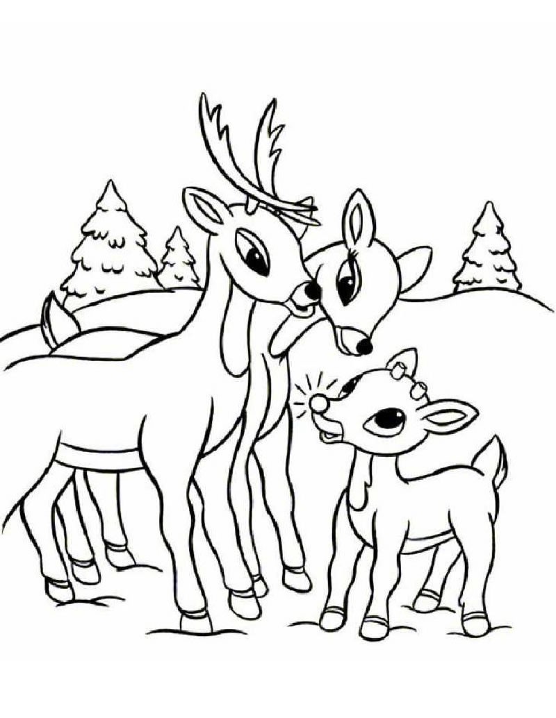 800x1034 santas sleigh drawing awesome of christmas reindeer coloring - Christmas Reindeer Drawing