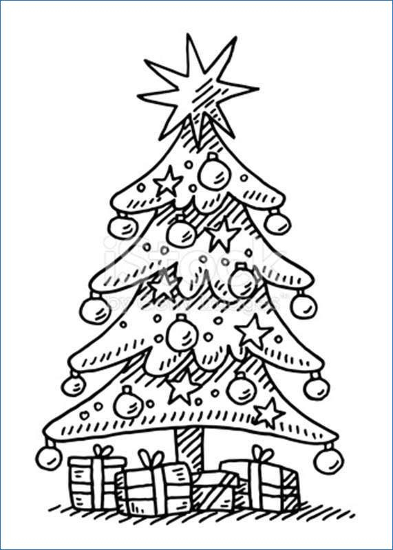 571x800 Pine Tree Coloring - Christmas Tree Drawing For Coloring