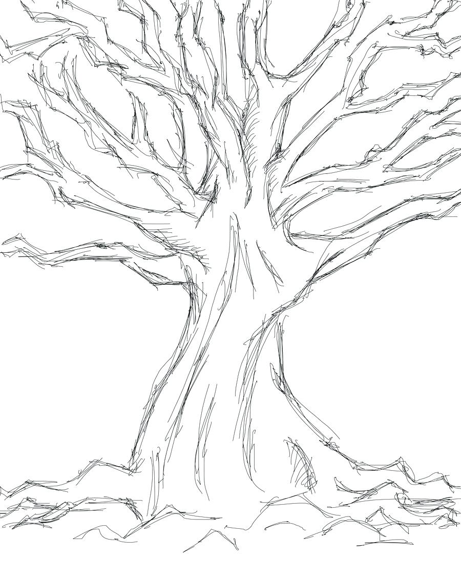 900x1125 Easy Tree Drawing Tree Sketch Easy Tree Sketches Drawing Plants - Christmas Tree Drawing Pic