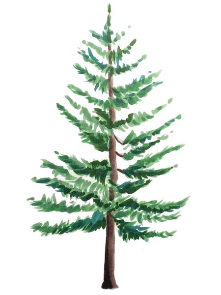 450x600 how to draw trees with copic markers - Christmas Tree Drawing Pictures