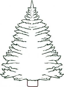 223x302 How To Draw How To Draw A Pine Tree - Christmas Tree Step By Step Drawing