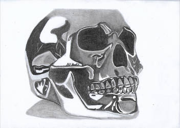 352x250 chrome skull drawing - Chrome Drawing