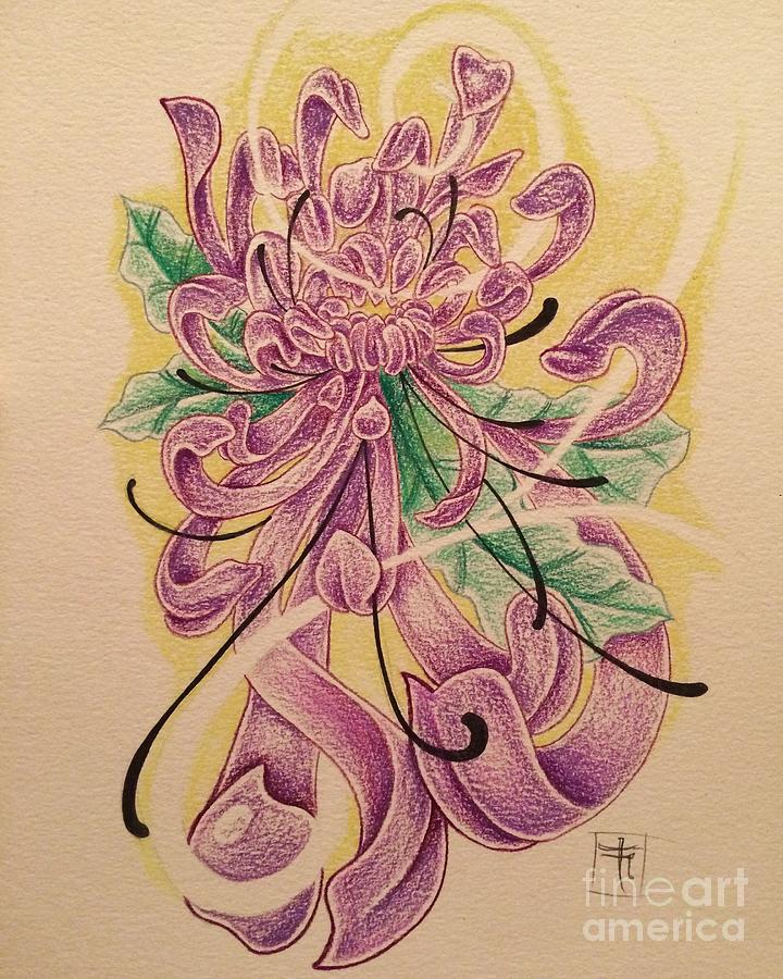 720x900 Chrysanthemum Drawing - Chrysanthemum Drawing